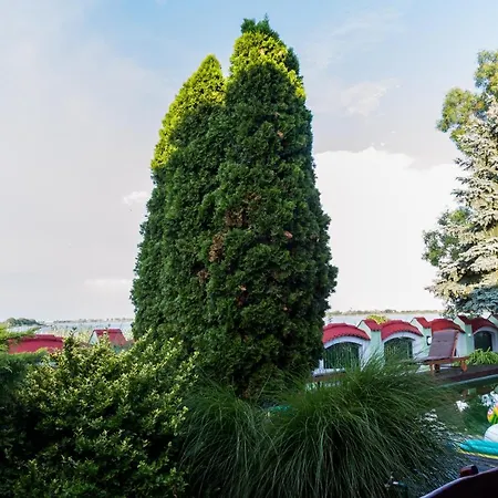 Villa Vila Prestige *